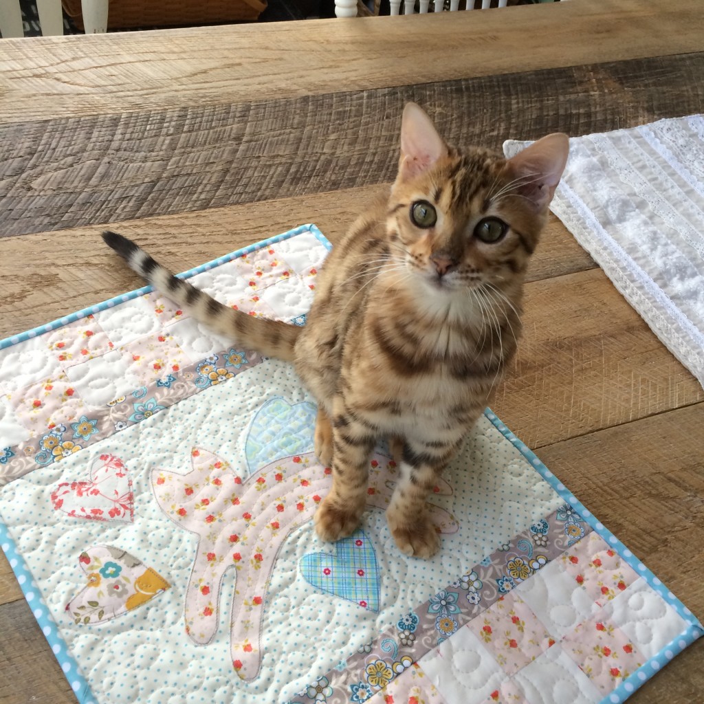 mini kitty quilt 5