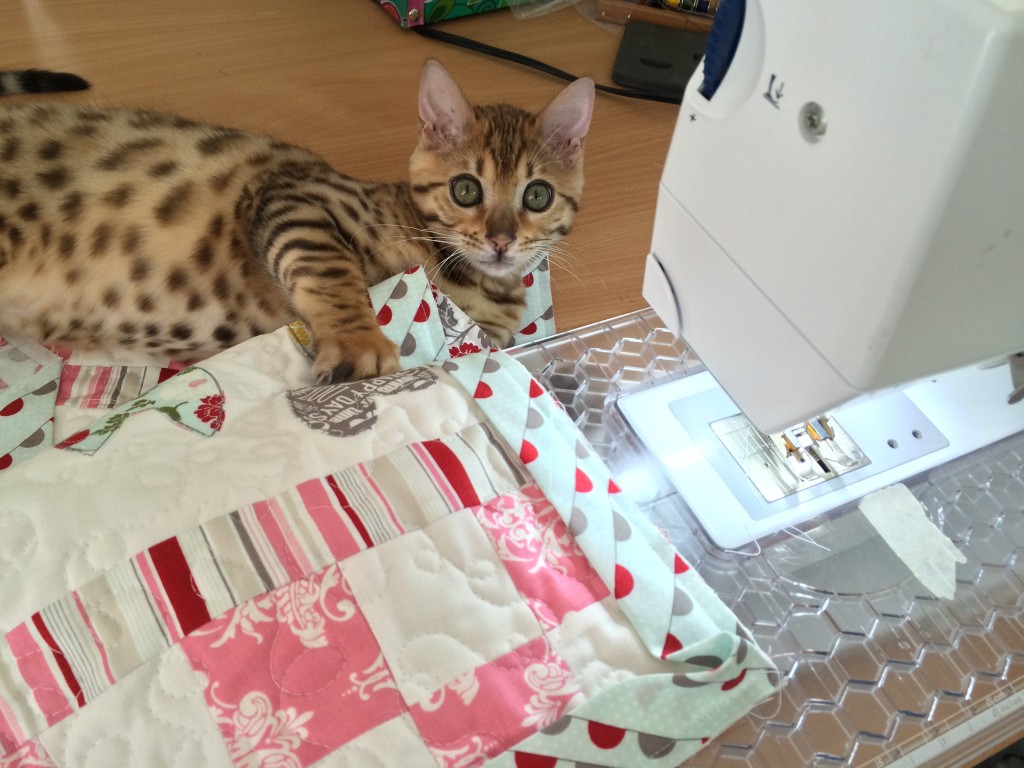 kitty love mini quilt 15
