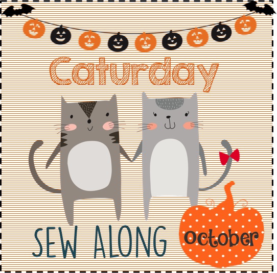 http://www.jedicraftgirl.com/wp-content/uploads/2015/10/caturday-october.jpg