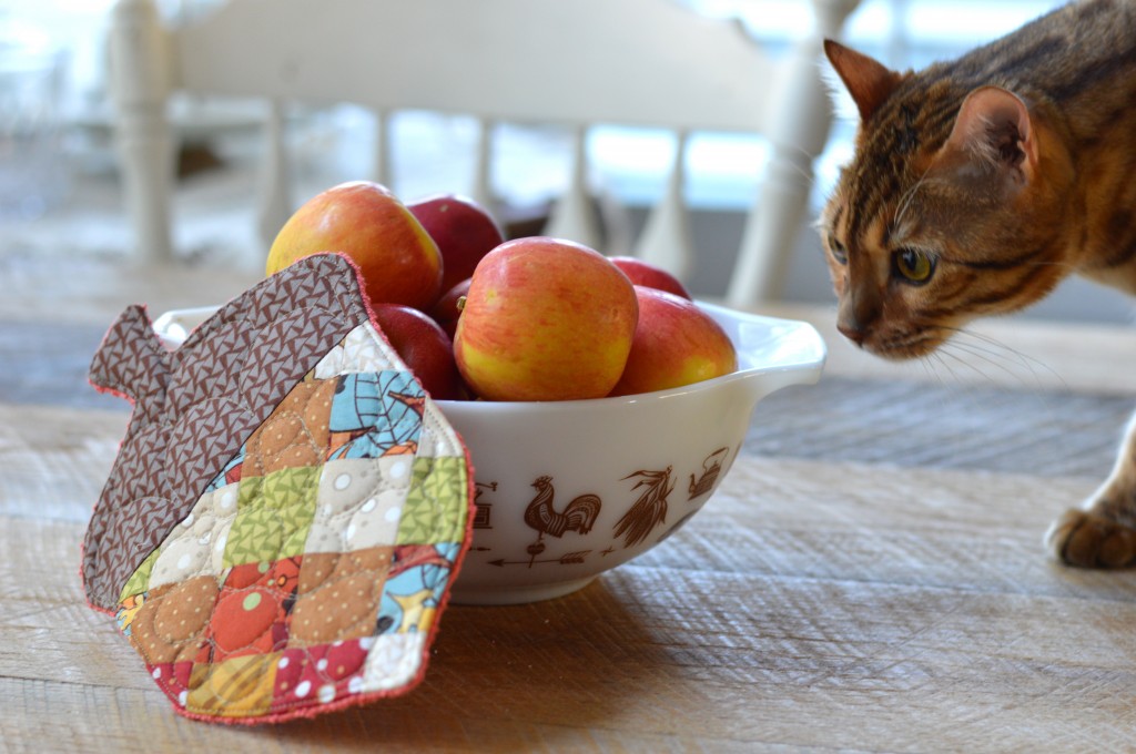 patchwork acorn potholder