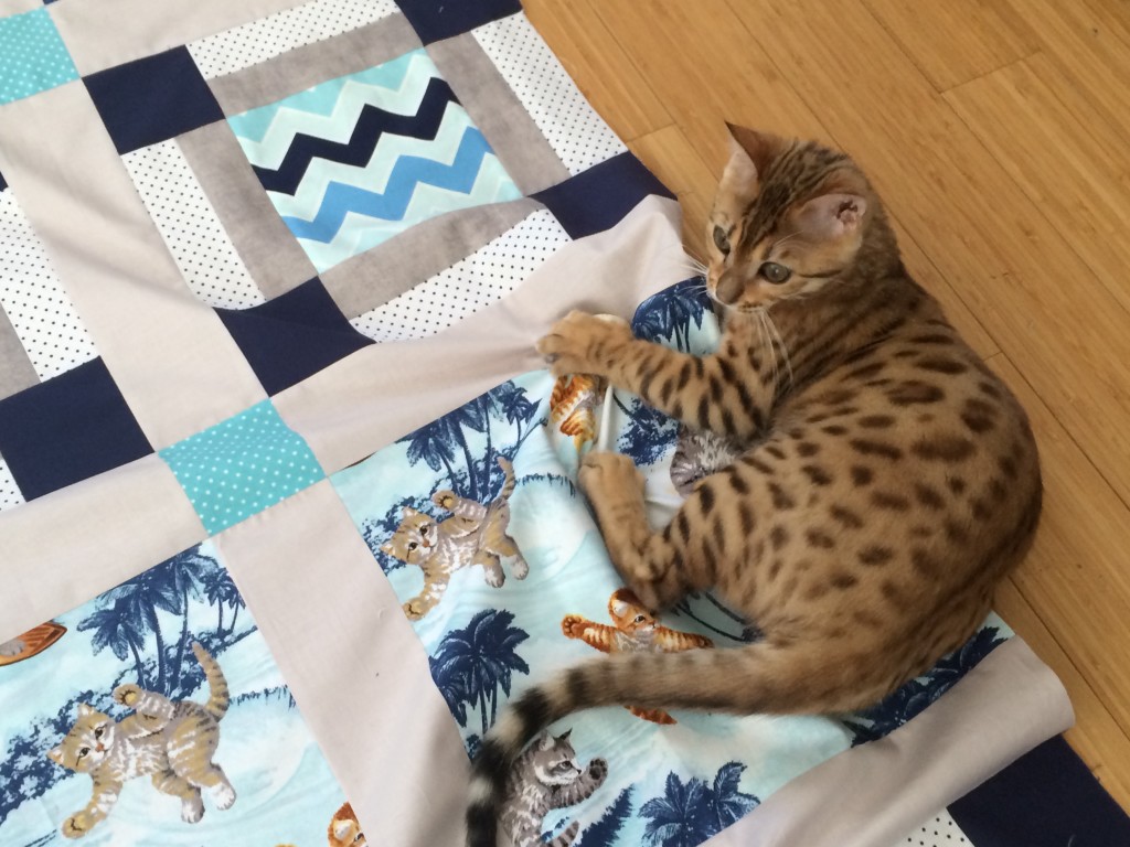 surfing cats quilt 17