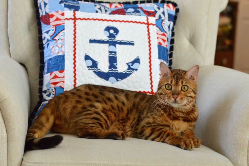 anchor pillow 6