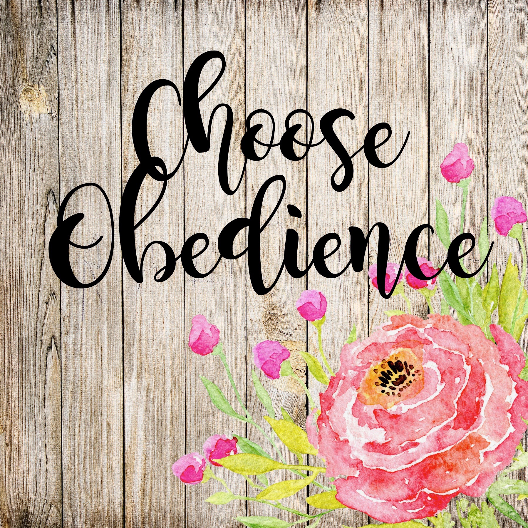 choosoe obedience